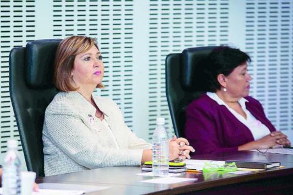 La concesión de la basura en la capital no es la mejor opción: diputada