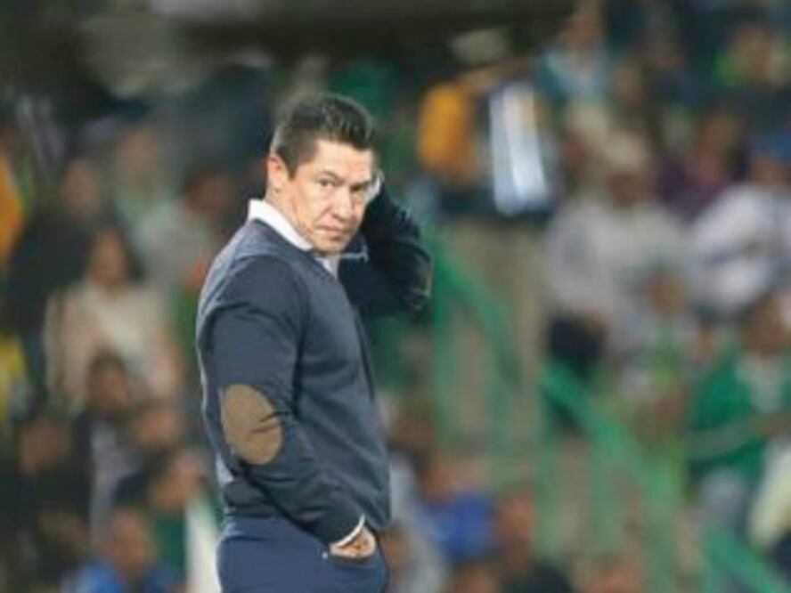 Gallos Blancos, por el triunfo y la paz