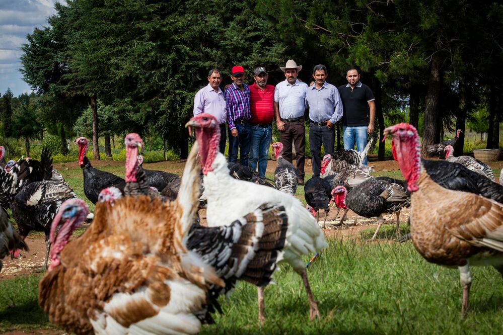 Foto: Demian Chávez