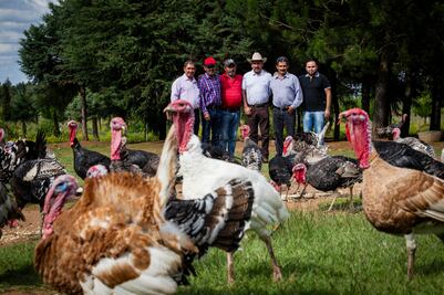 Güilo y pulque, tradiciones que la autoridad prohíbe