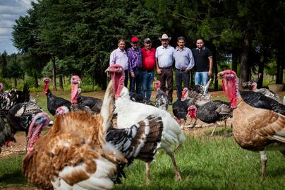 Güilo y pulque, tradiciones que la autoridad prohíbe