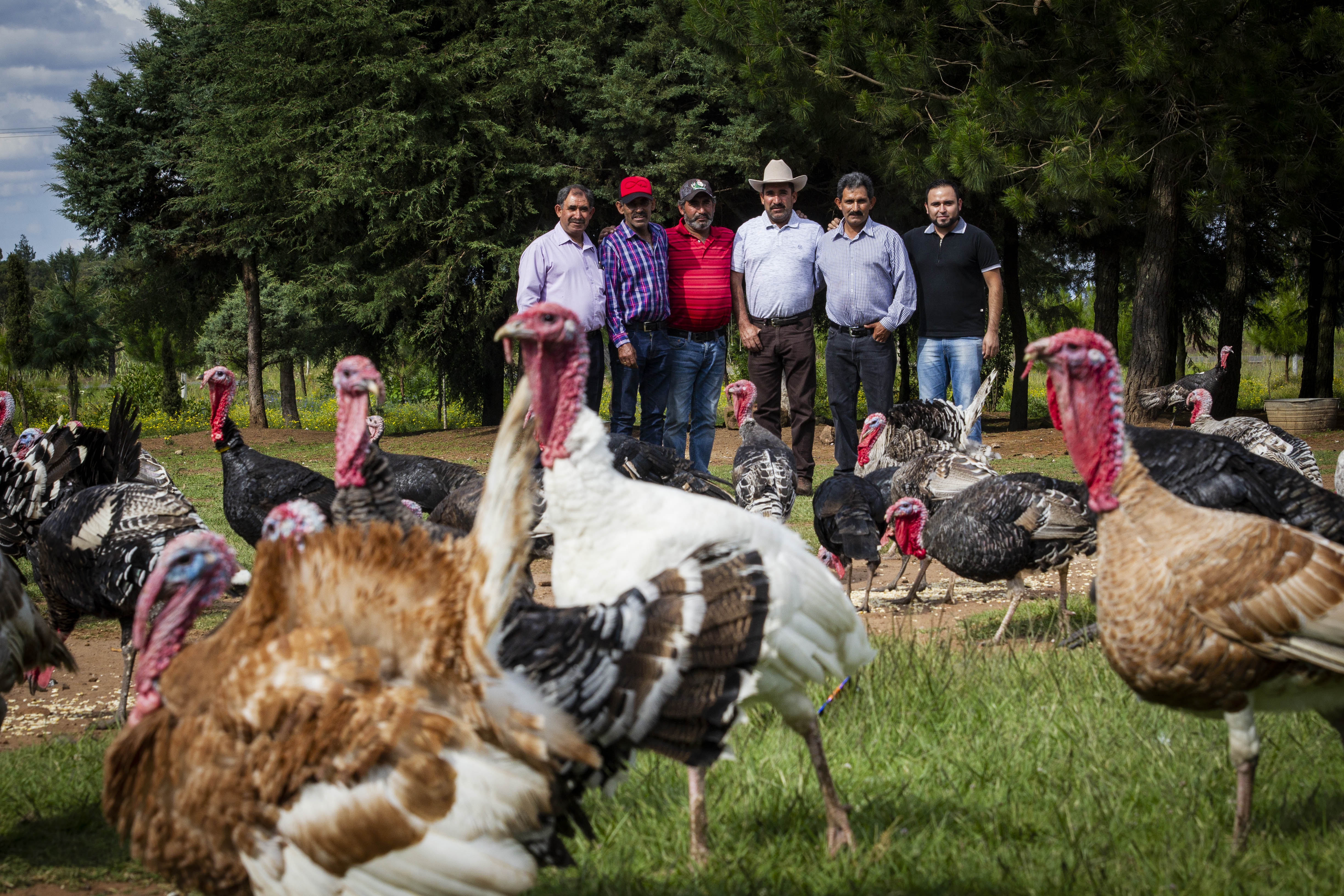 Foto: Demian Chávez