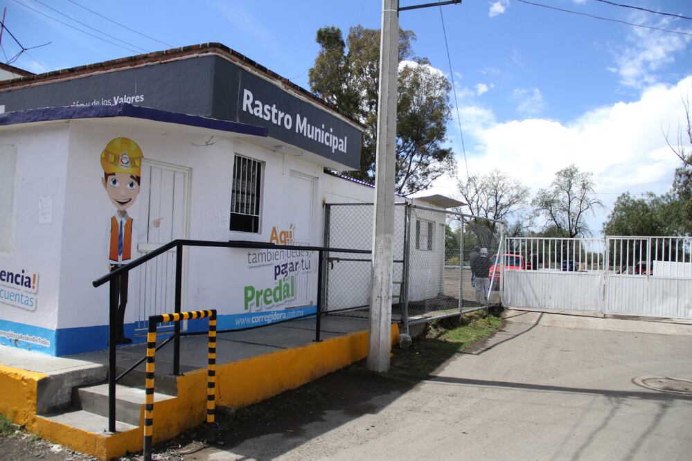 Buscan rastro metropolitano