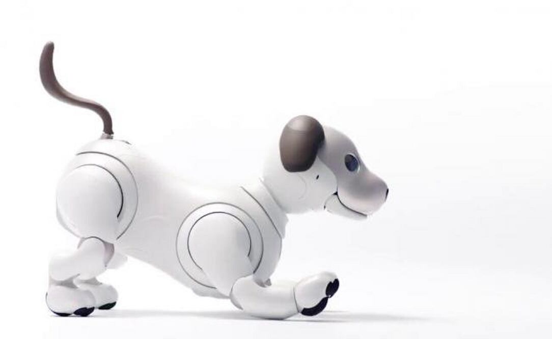 El robot ahora cuenta con más articulación y sensores (FOTO: Archivo)