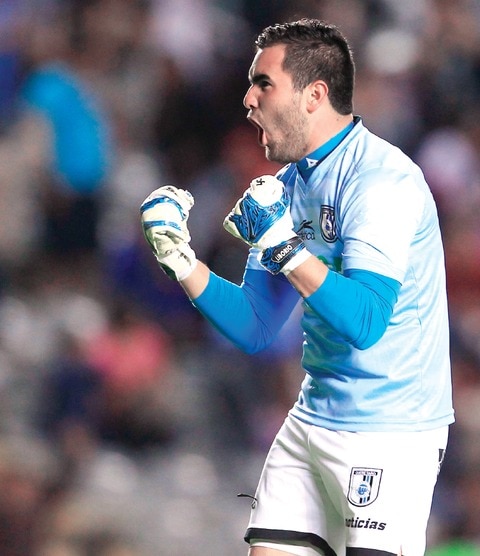 Gallos se ven favoritos