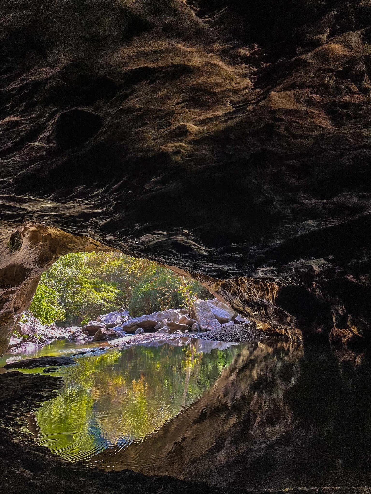 Los Sabinos. Foto: Visit Jalpan de Serra