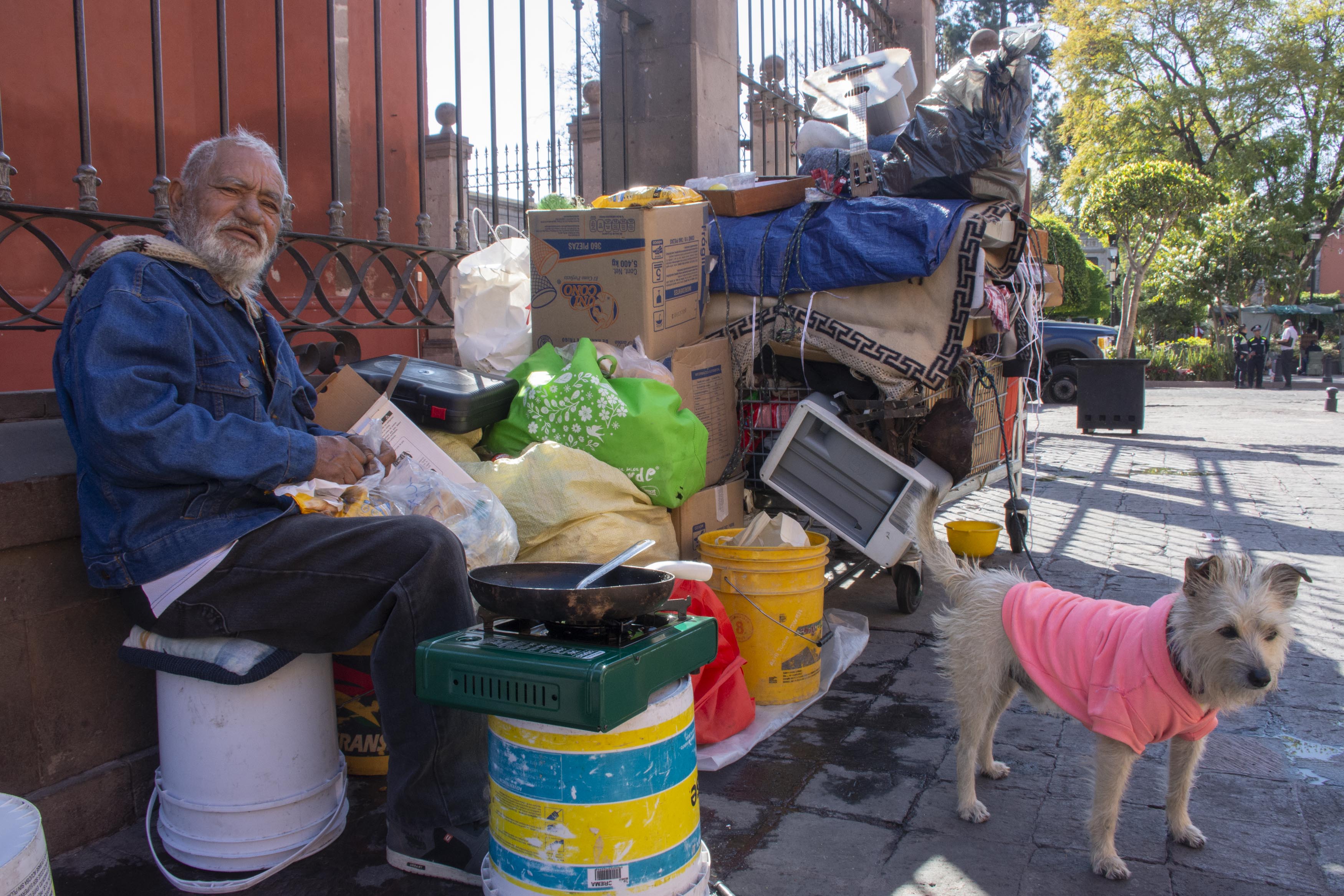 Ringo y Carlos, acompañantes de vida en la calle 