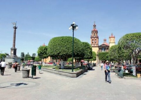 Busca SJR 350 mdp ante federación