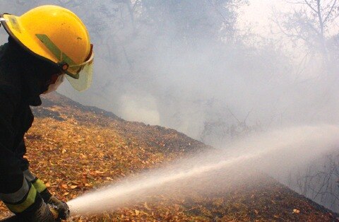 Disminuyen  los  incendios forestales: Sedea