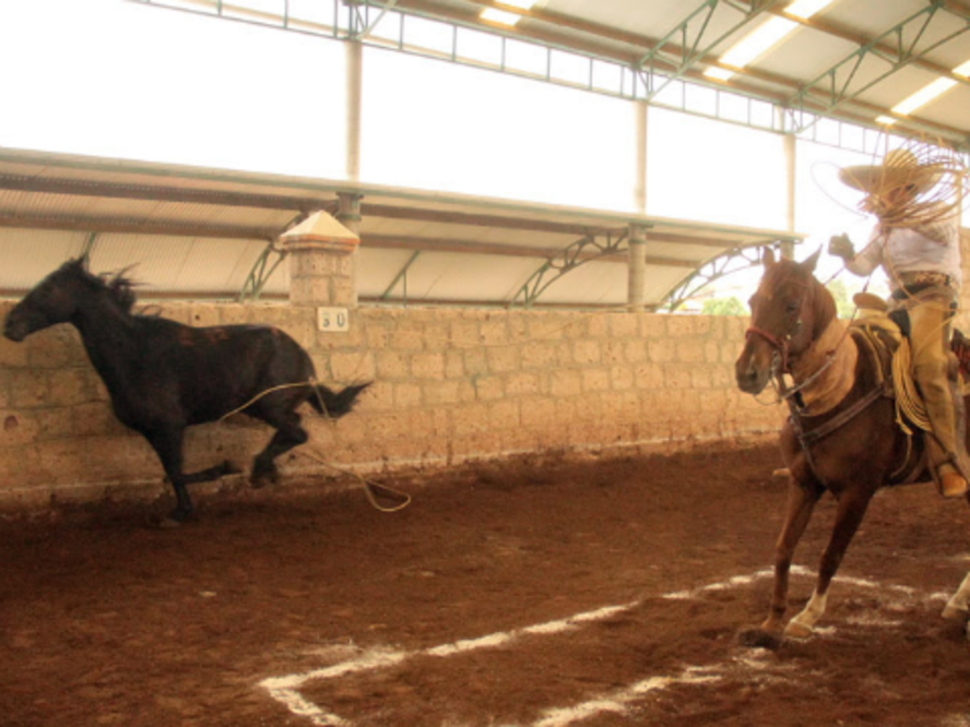 Tradición Charra 2014 en SJR