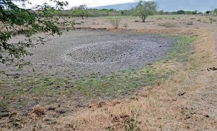 Niveles de agua en las principales presas de Querétaro siguen a la baja