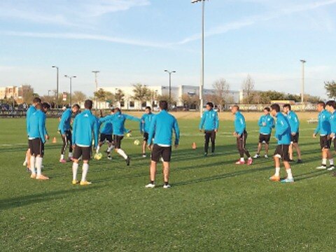 Gallos ya duermen en Dallas