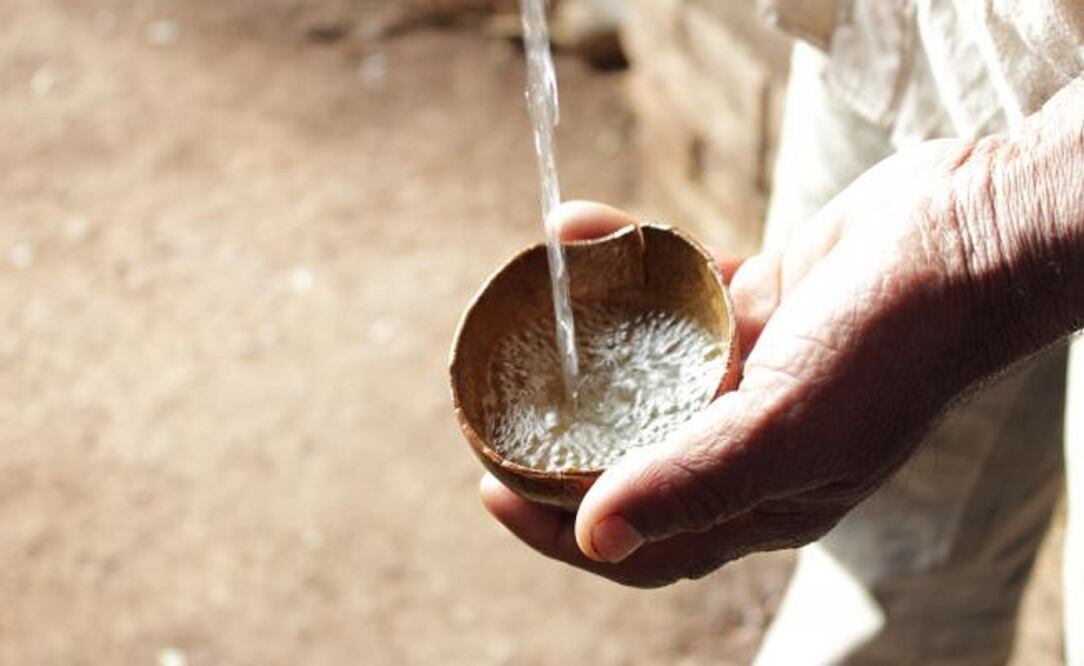 6 mezcales artesanales por menos de 500 pesitos / foto: cortesía