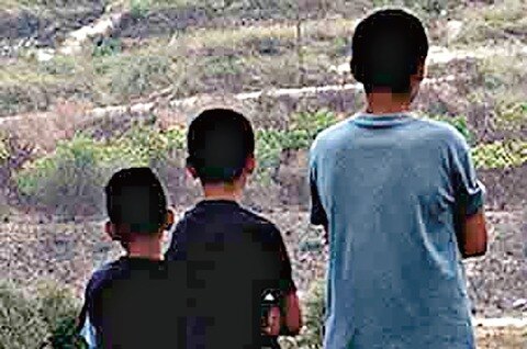 Menores, más propensos a depresión