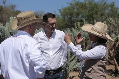 Seguridad se mantiene bajo control, afirma Kuri