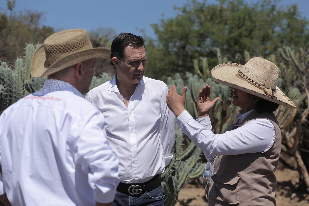 FOTO: Gonzalo Ibañez