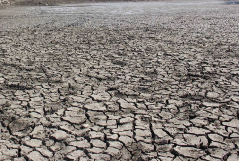 Sequía azota campo de Tolimán