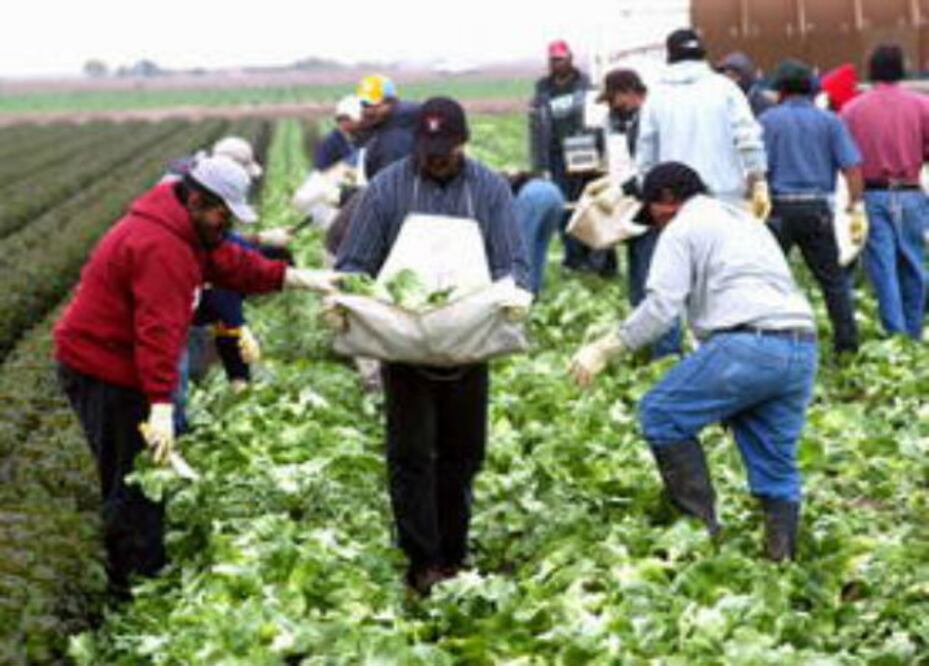 Van queretanos a EUA a trabajar