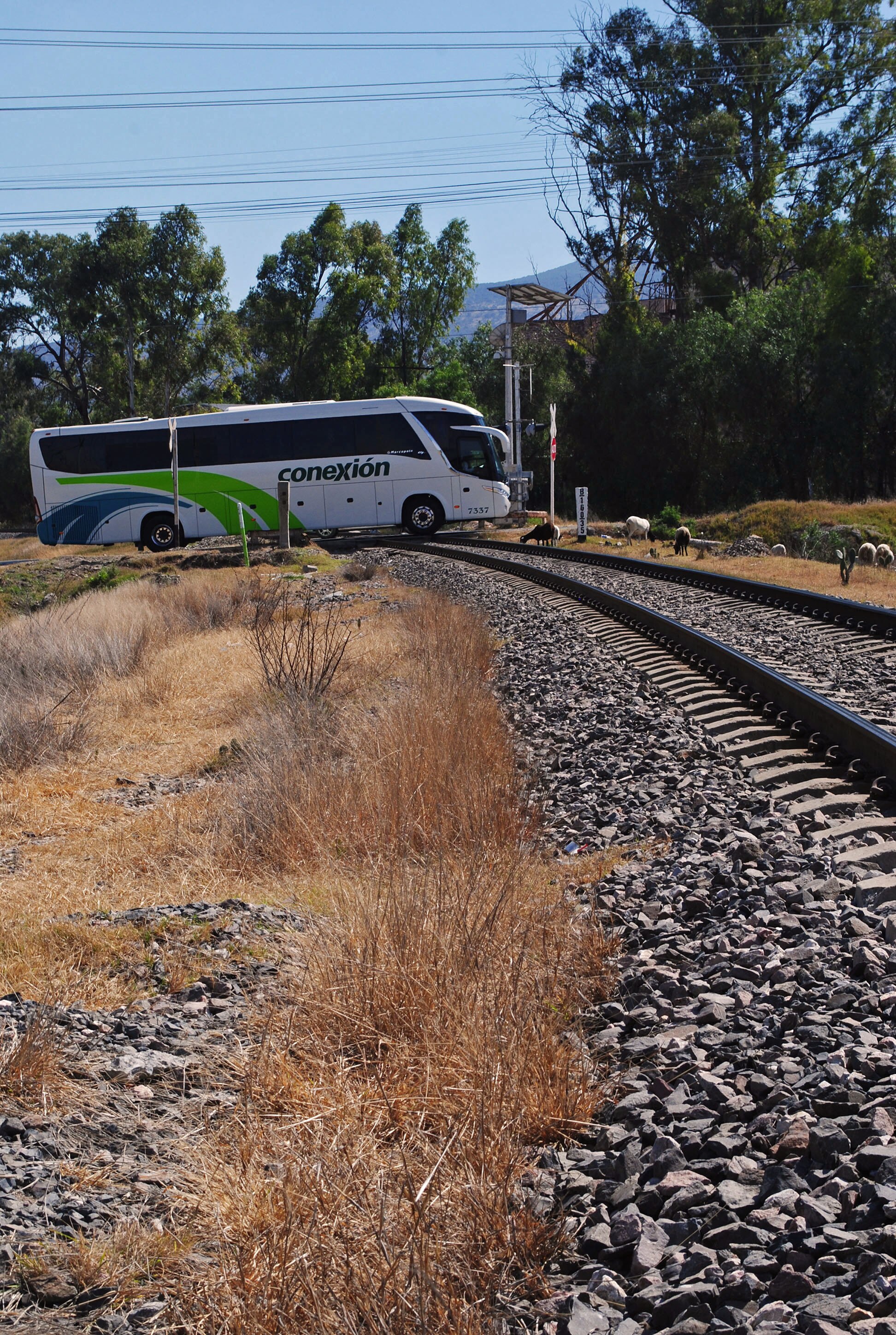 Imprudencia de choferes ocasiona tragedias