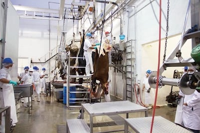 Vigilan rastros por casos de  clembuterol