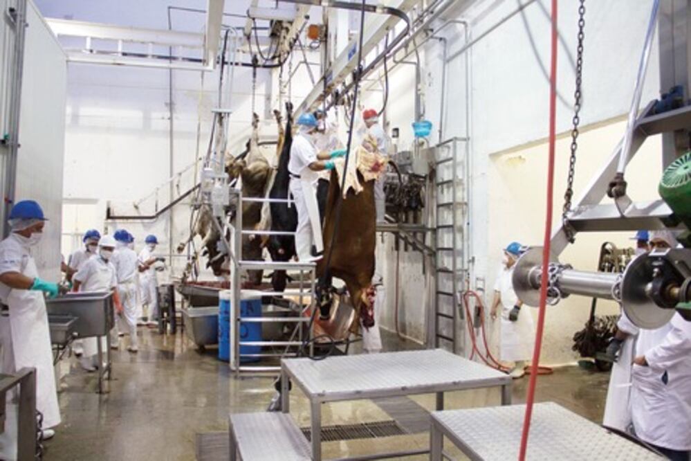 Vigilan rastros por casos de clembuterol