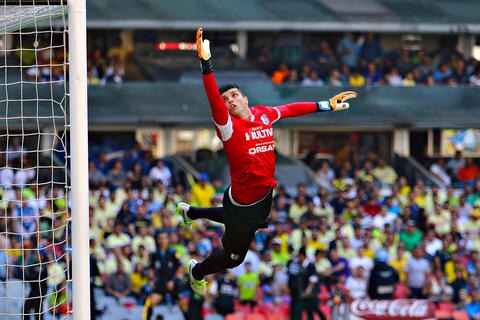 Gallos Blancos duerme en EU