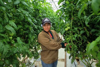 Angélica, responsable de 4 invernaderos; 60 personas a su cargo