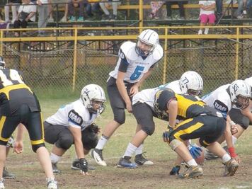 Gatos Salvajes, listos para los Gators