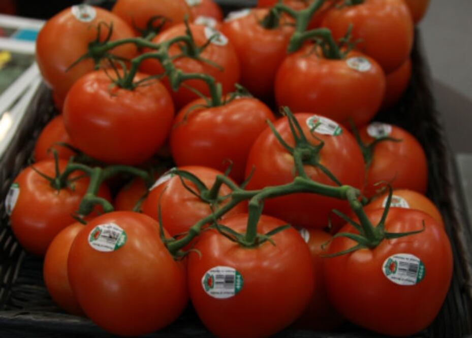 Conflicto de tomate con EU, de los más graves: SE