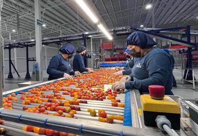 De cada 10 empleos, 4 son ocupados por mujeres, en Querétaro 