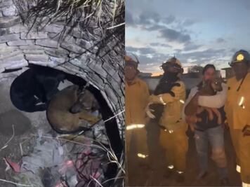 Rescatan a dos perritos que cayeron a un pozo en Tequisquiapan