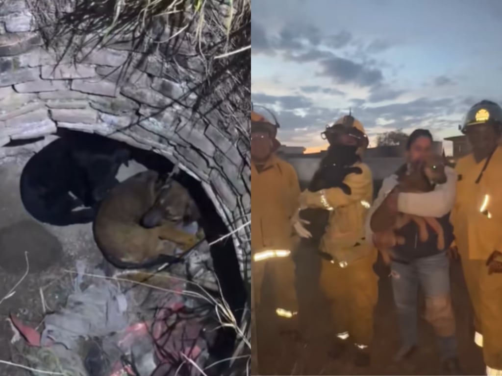 FOTO. CAPTURA DE PANTALLA