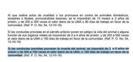 Hasta 5 años de prisión recibiría responsable de envenenar a los perros Athos y Tango