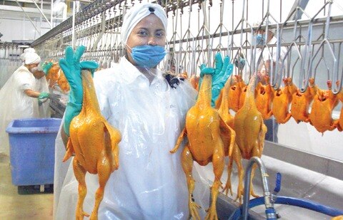 Destinan 80% de donaciones al estado