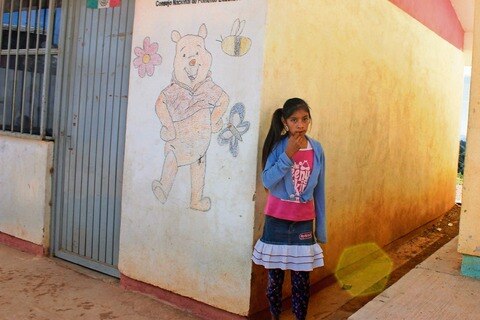 Buscan determinar causas de maltrato