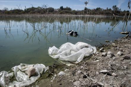 En el olvido la presa El Centenario, manto acuífero de bacterias 