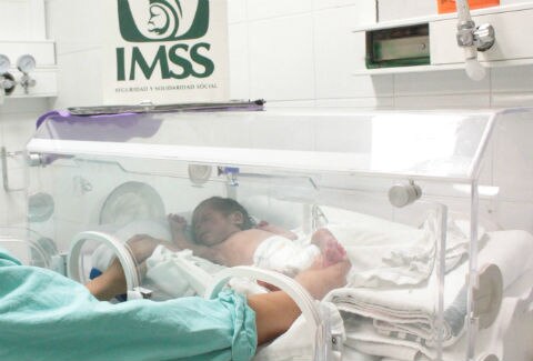 8% de nacimientos prematuros: IMSS