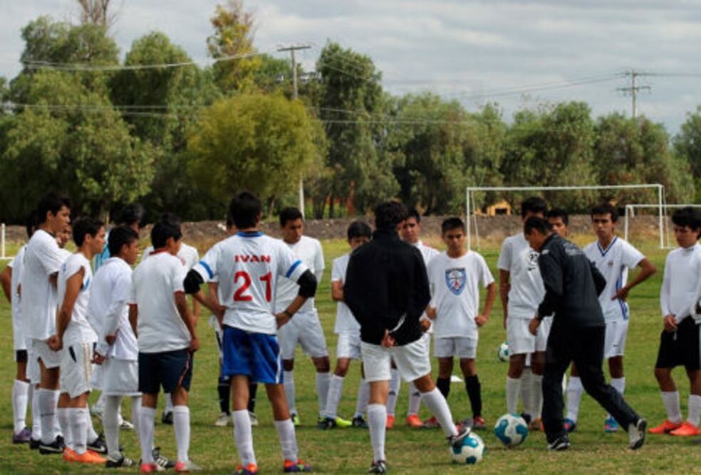 Gallos Blancos, busca sangre nueva
