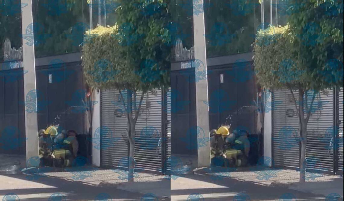 Foto: Ángel González