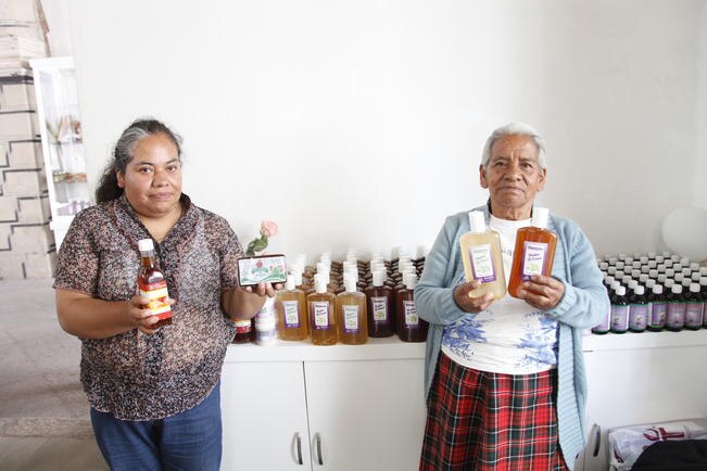 Emprender un negocio con plantas y frutas