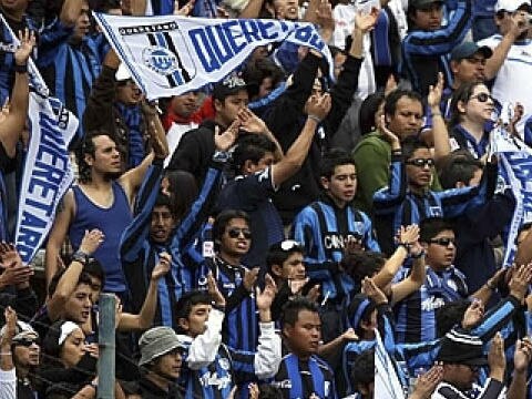 Gallos con cuadro completo