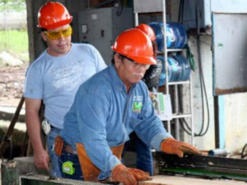 Empleados sanos, empresas robustas