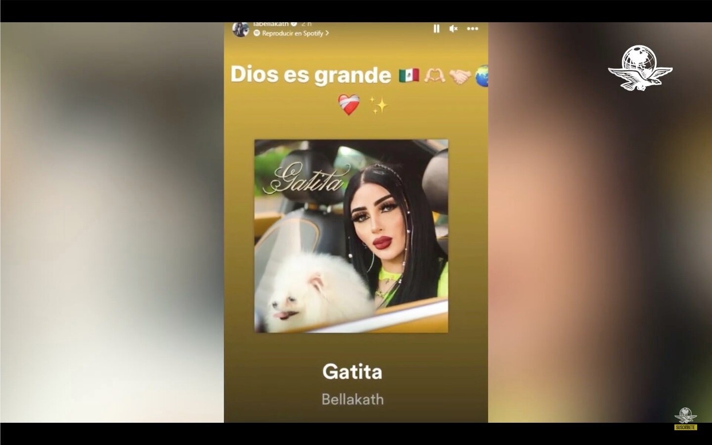 Regresa “Gatita” de Bellakath a Spotify tras polémica por plagio