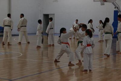 Quiere Querétaro mejores karatecas