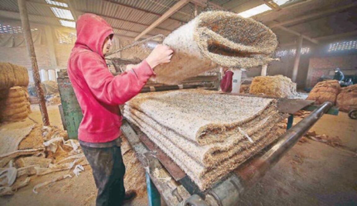 Relleno de coco para colchones, opción natural