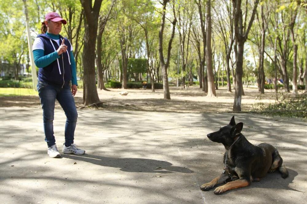 Son las 11 de la mañana en el parque Carretas. Daisy, Era, Laica, Mosaico, Arya, Pancho y otros caninos son entrenados con ejercicios de paciencia, atención y socialización.