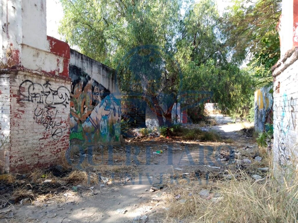 FOTO. VERÓNICA RUIZ