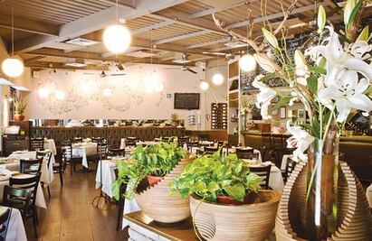 Lampuga llega a los 10 años