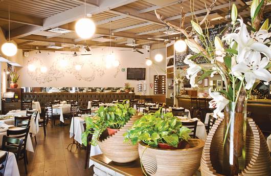 Lampuga llega a los 10 años