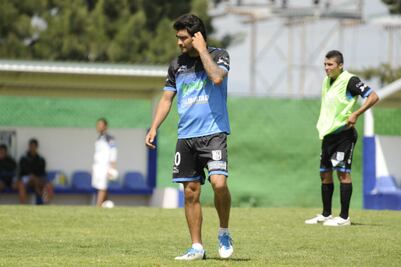 Gallos, con la frente marchita